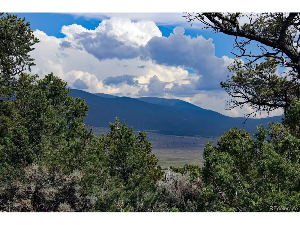 2252 White Tail RD #2 Circle San Luis, CO 81152