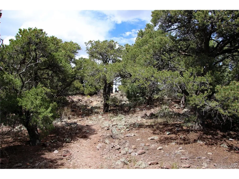 2252 White Tail RD #2 Circle San Luis, CO 81152