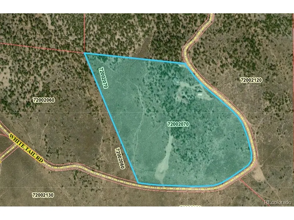 2252 White Tail RD #2 Circle San Luis, CO 81152