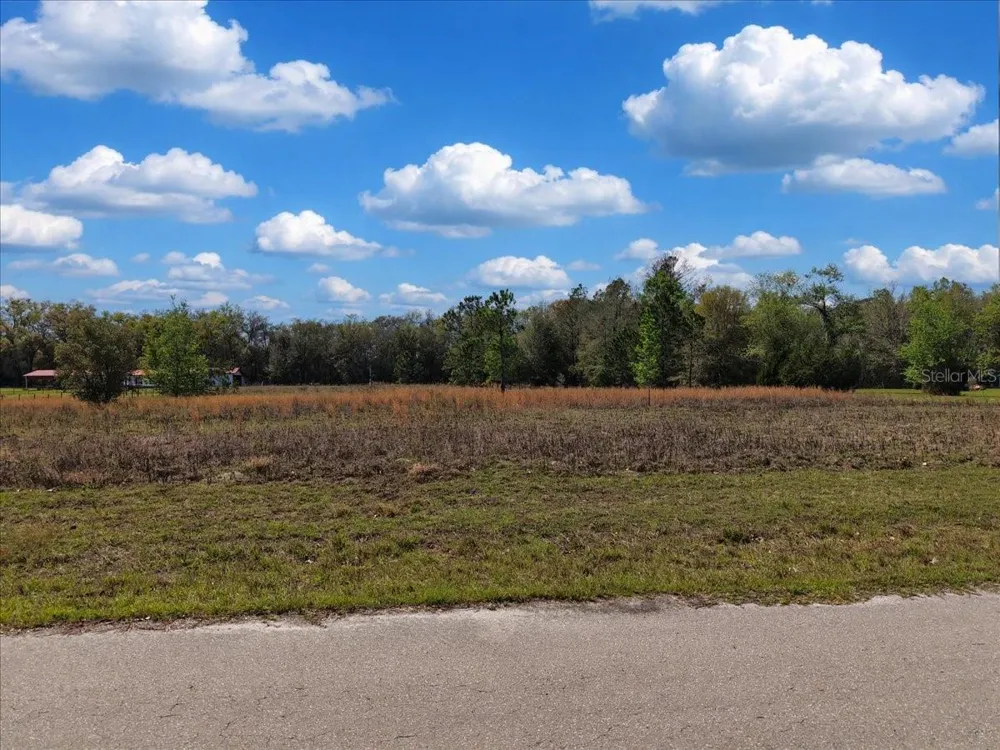 17350 NW 1ST AVENUE Trenton, FL 32693