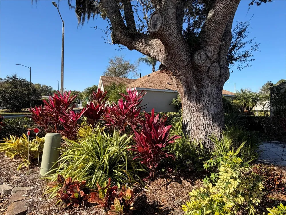 20300 LEONARD ROAD #78 Lutz, FL 33558