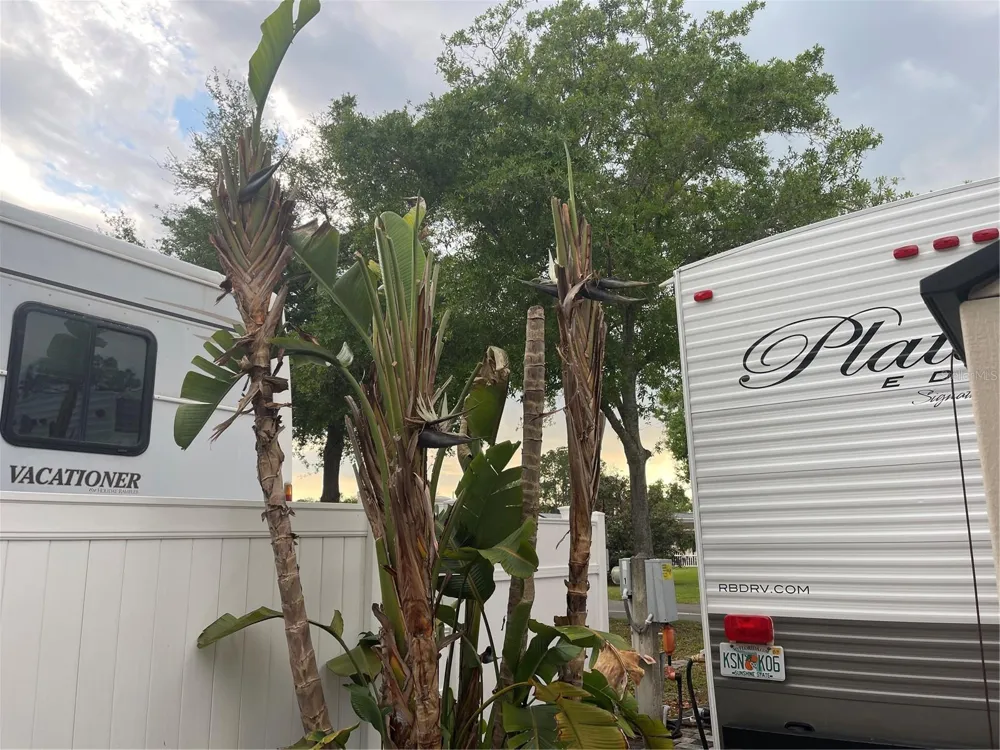 20300 LEONARD ROAD #78 Lutz, FL 33558