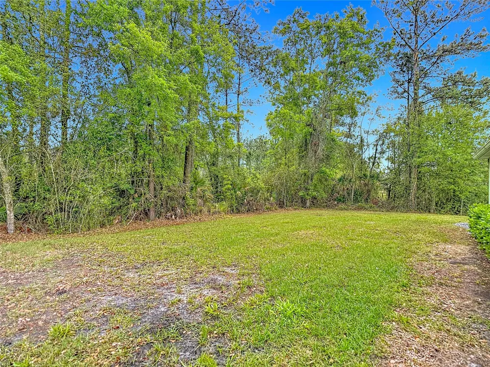 5274 DIANTHA WAY Brooksville, FL 34604