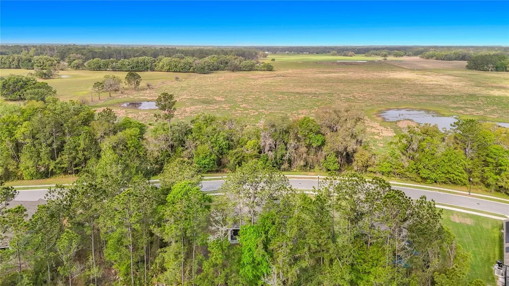 5274 DIANTHA WAY Brooksville, FL 34604