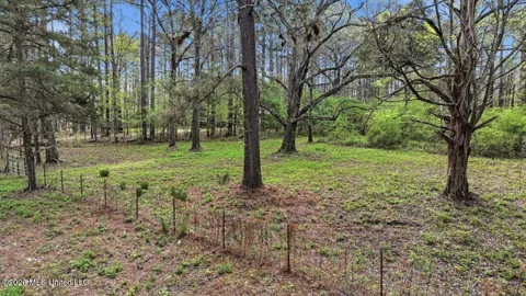 0 Harrisville Braxton Road