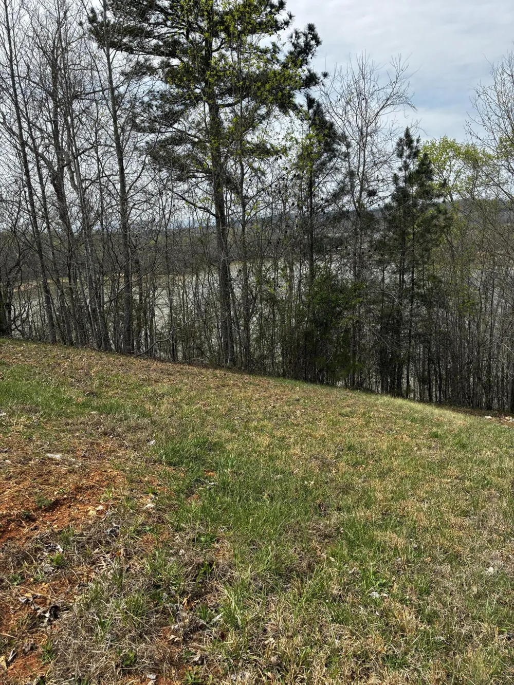 37 Mill Drive Decatur, TN 37322