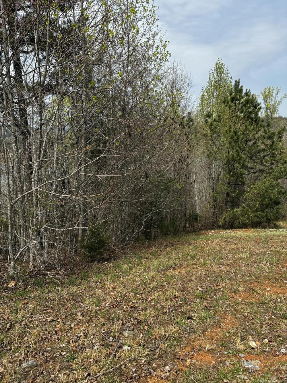 37 Mill Drive Decatur, TN 37322
