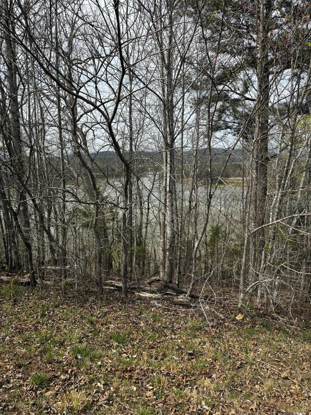 37 Mill Drive Decatur, TN 37322