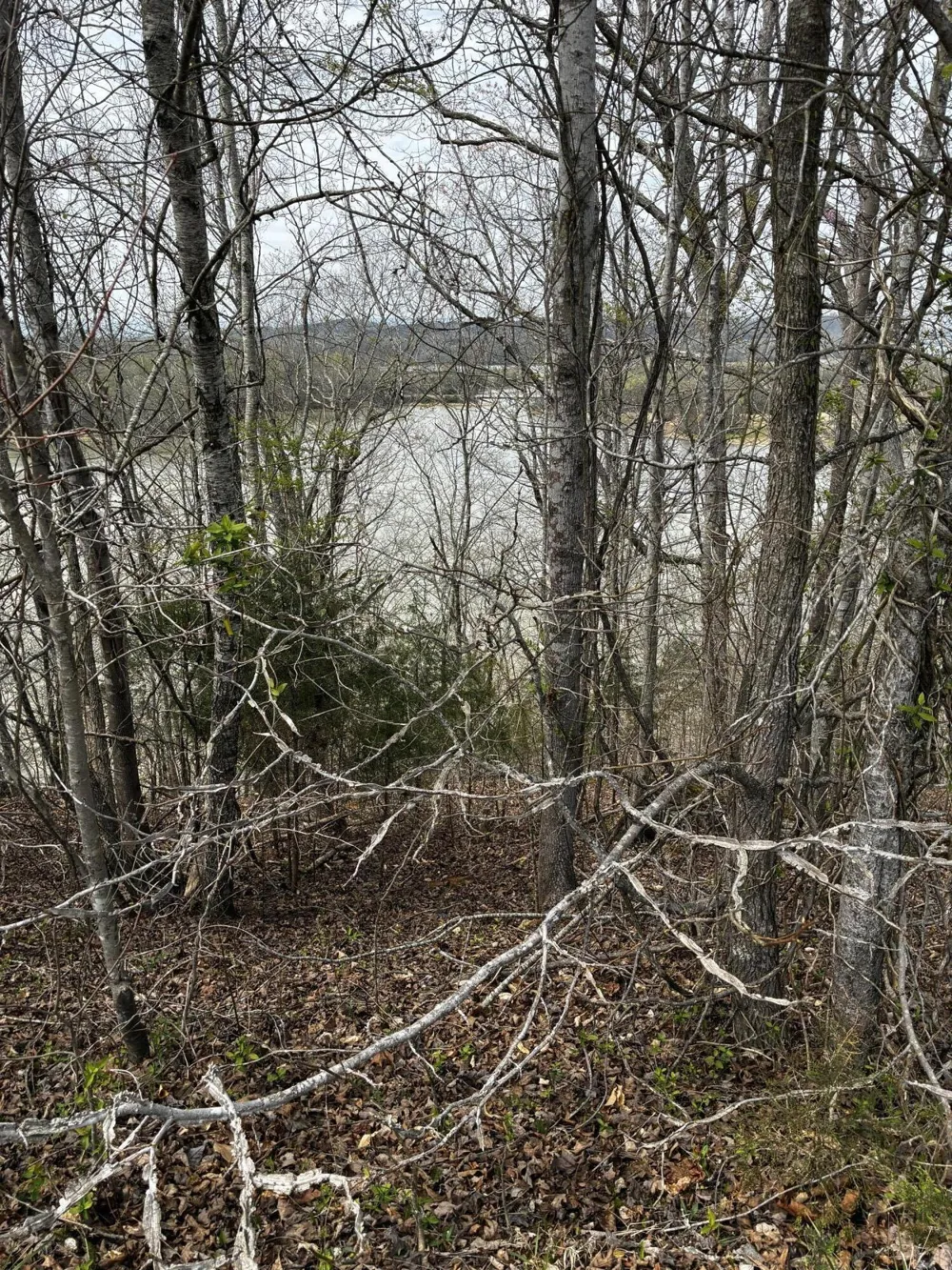 37 Mill Drive Decatur, TN 37322
