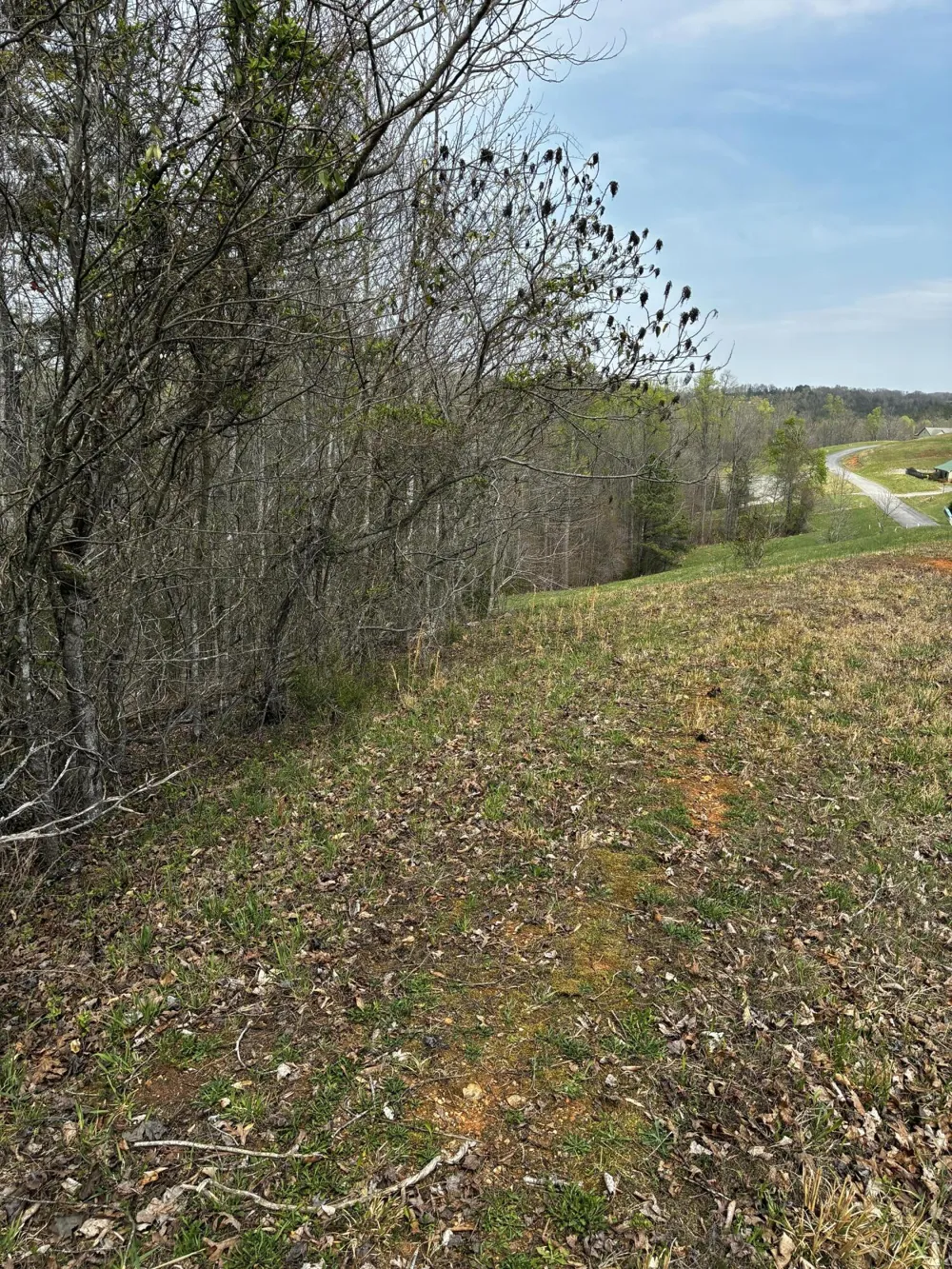 37 Mill Drive Decatur, TN 37322