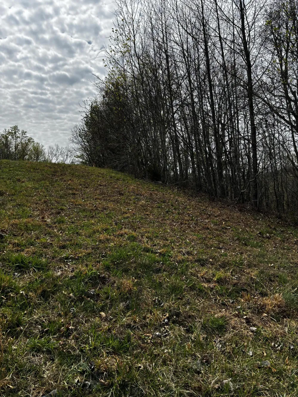 37 Mill Drive Decatur, TN 37322