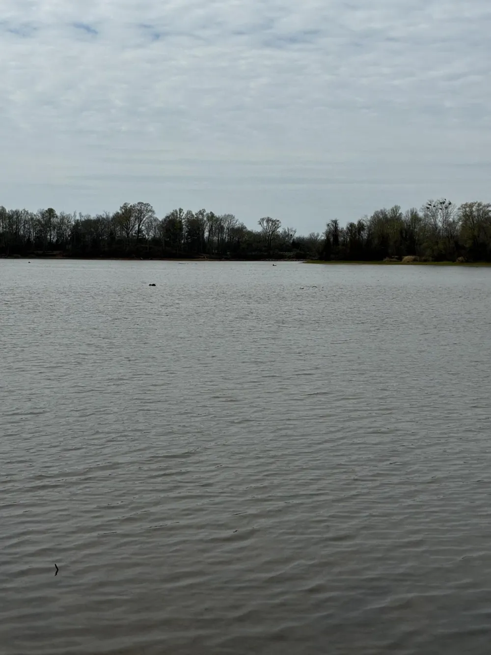 37 Mill Drive Decatur, TN 37322