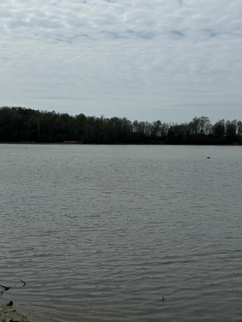 37 Mill Drive Decatur, TN 37322