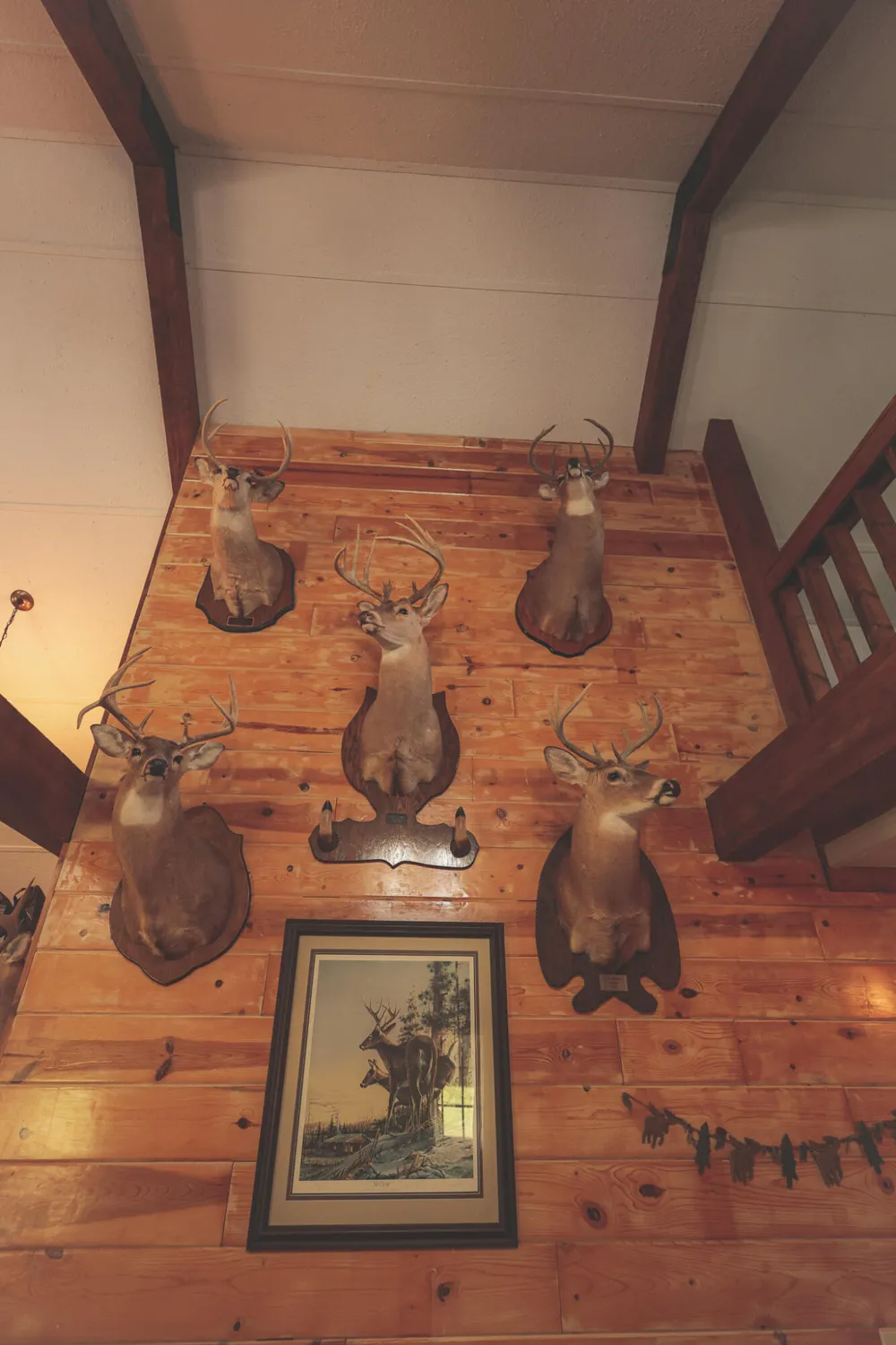 1047 Nelson Harrison Road Evensville, TN 37332