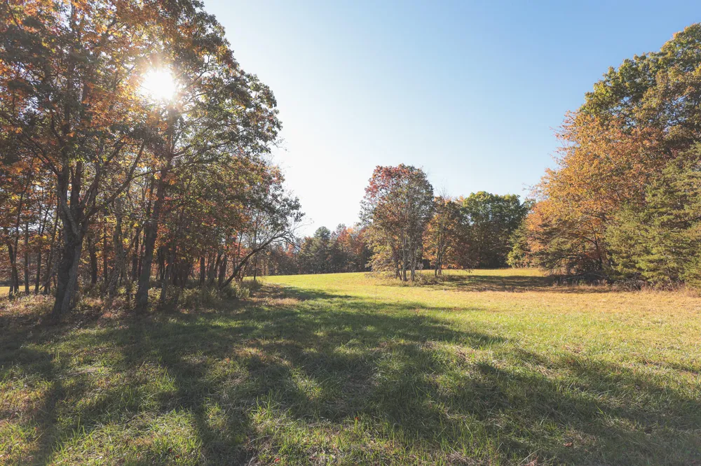 1047 Nelson Harrison Road Evensville, TN 37332