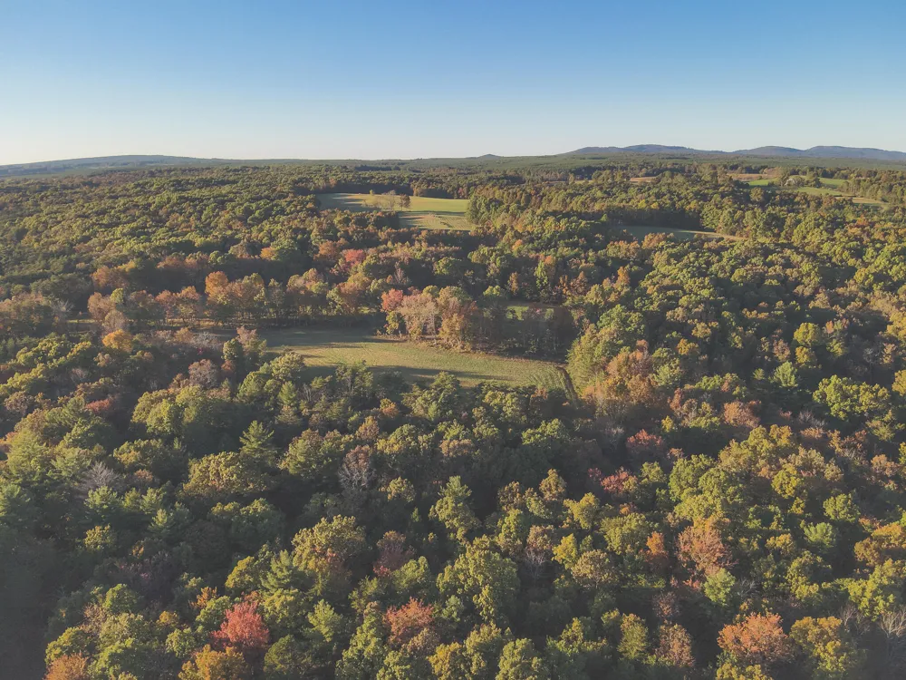 1047 Nelson Harrison Road Evensville, TN 37332