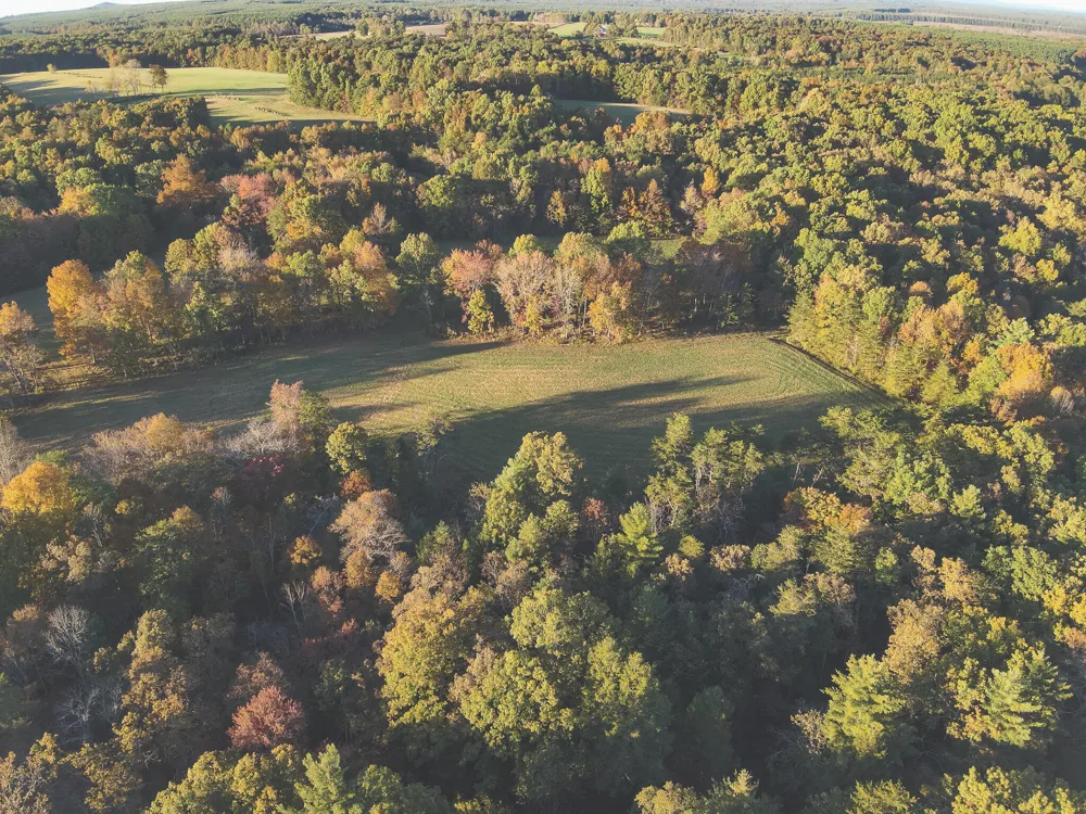 1047 Nelson Harrison Road Evensville, TN 37332