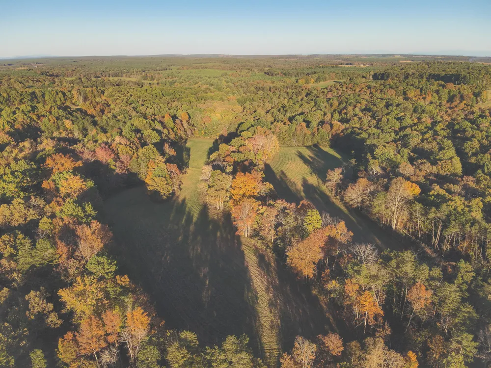 1047 Nelson Harrison Road Evensville, TN 37332