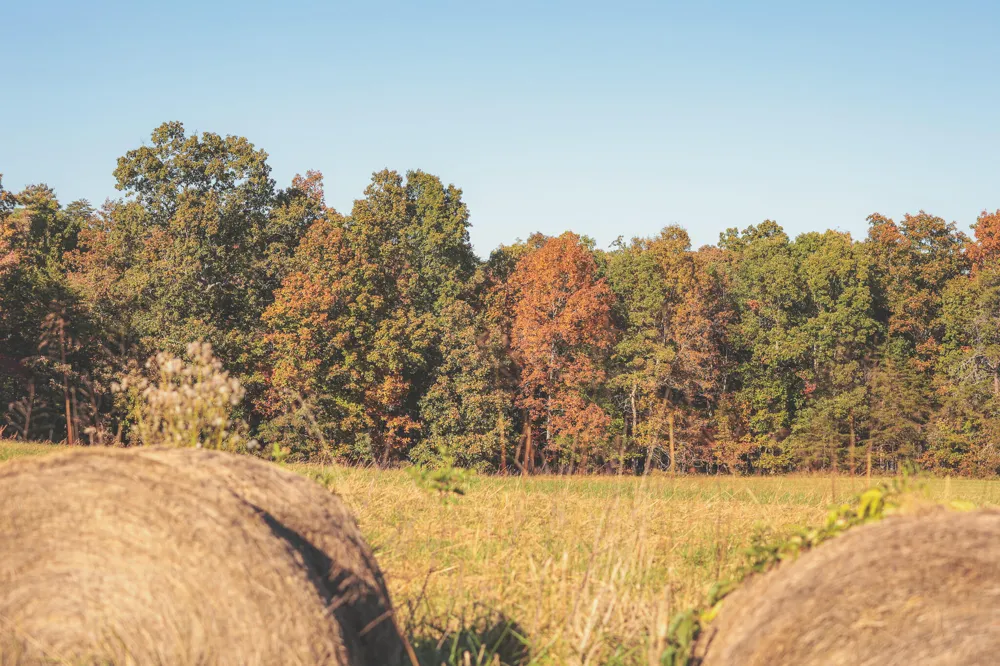 1047 Nelson Harrison Road Evensville, TN 37332