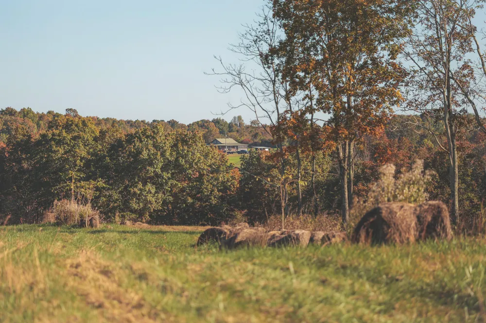 1047 Nelson Harrison Road Evensville, TN 37332