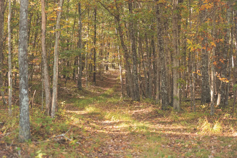 1047 Nelson Harrison Road Evensville, TN 37332