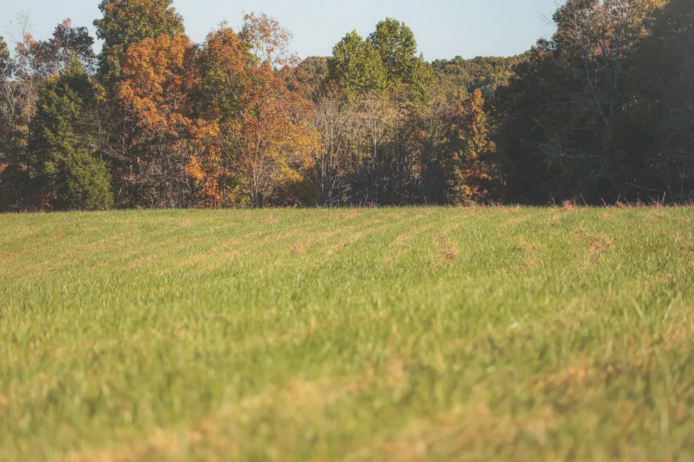 1047 Nelson Harrison Road Evensville, TN 37332