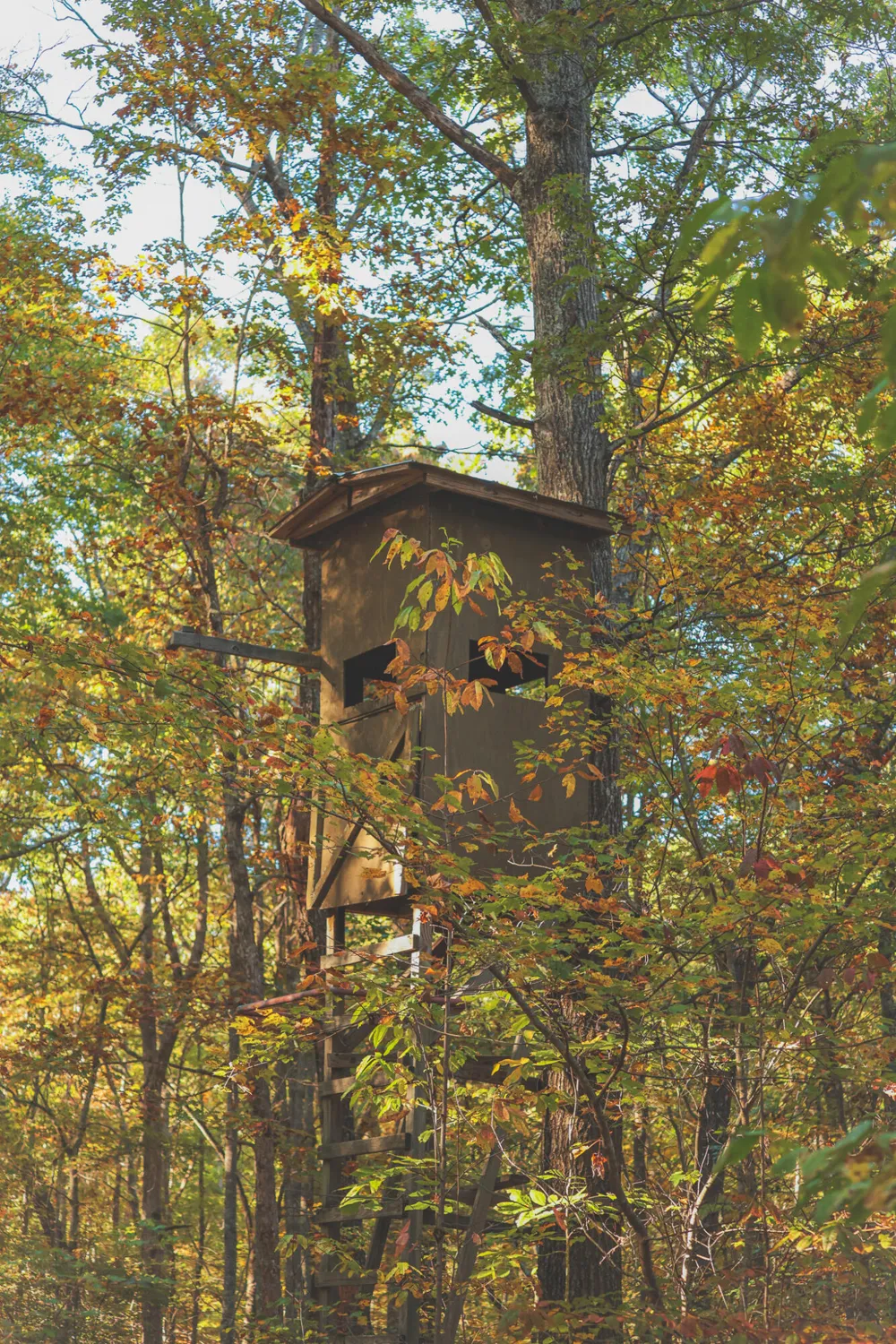 1047 Nelson Harrison Road Evensville, TN 37332