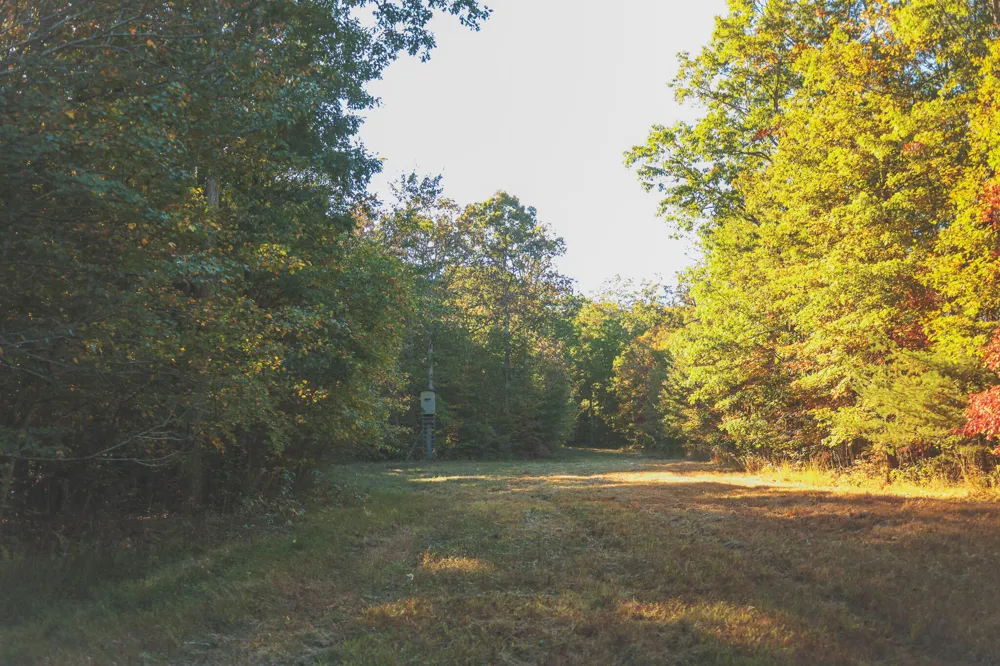 1047 Nelson Harrison Road Evensville, TN 37332