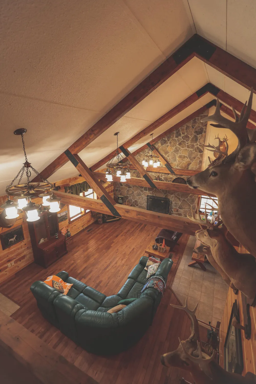 1047 Nelson Harrison Road Evensville, TN 37332