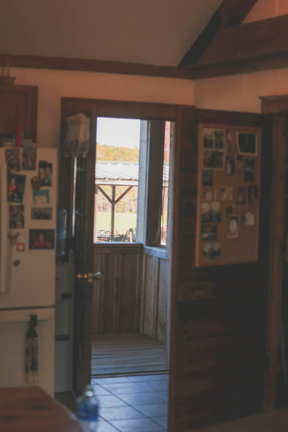 1047 Nelson Harrison Road Evensville, TN 37332