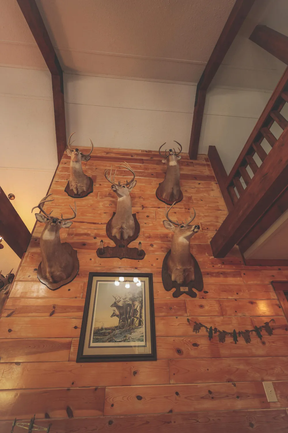 1047 Nelson Harrison Road Evensville, TN 37332
