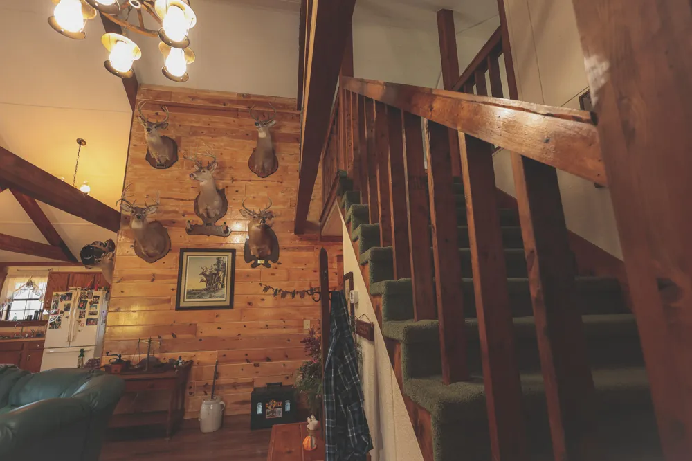 1047 Nelson Harrison Road Evensville, TN 37332