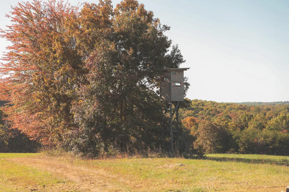 1047 Nelson Harrison Road Evensville, TN 37332