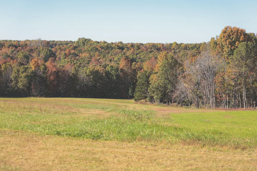 1047 Nelson Harrison Road Evensville, TN 37332