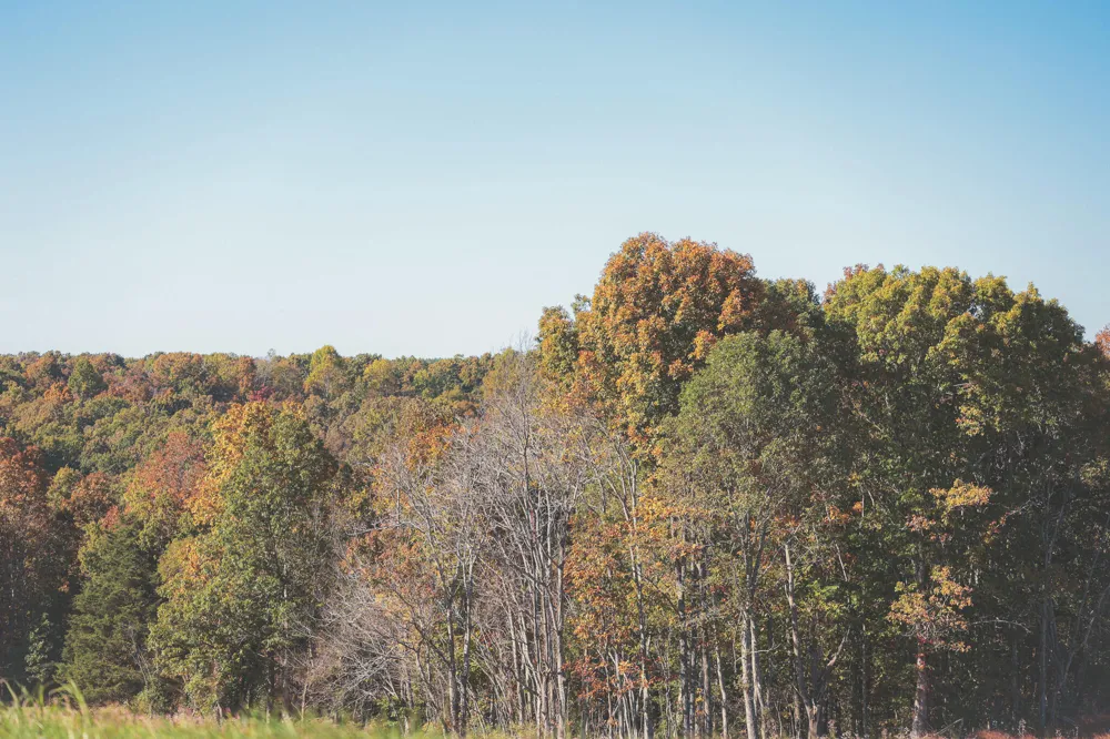 1047 Nelson Harrison Road Evensville, TN 37332