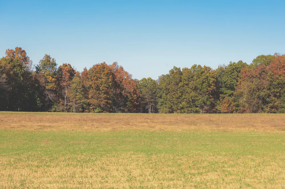 1047 Nelson Harrison Road Evensville, TN 37332