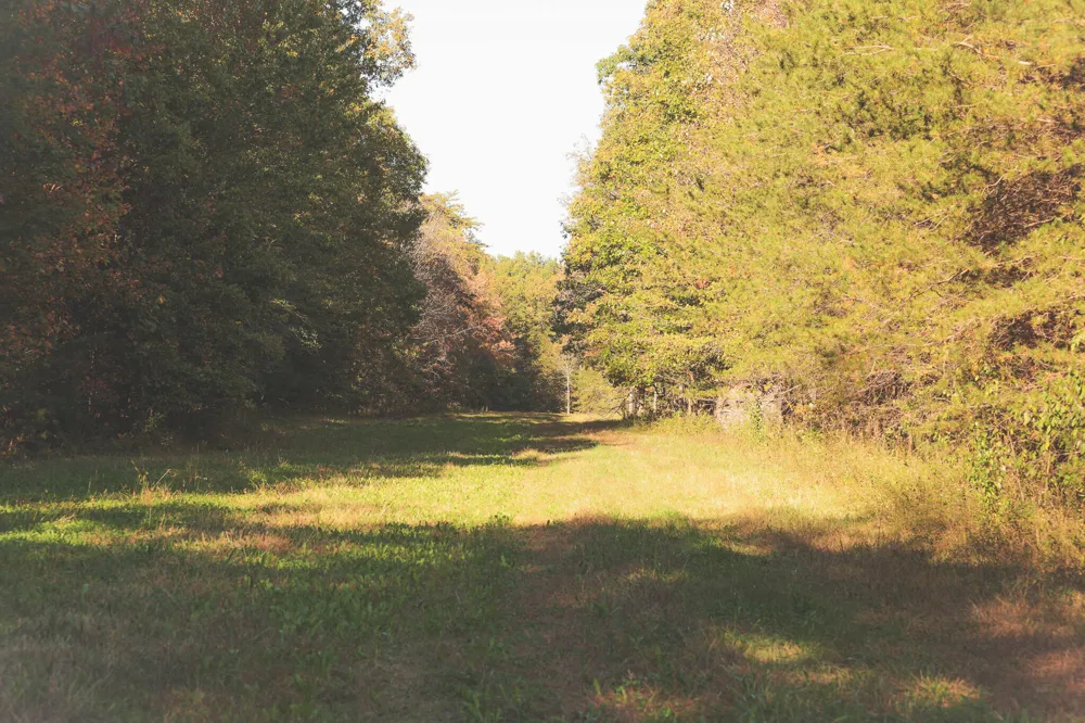 1047 Nelson Harrison Road Evensville, TN 37332