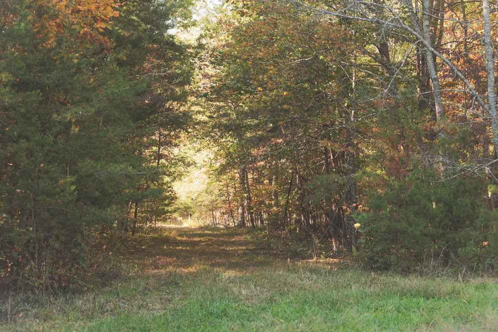 1047 Nelson Harrison Road Evensville, TN 37332