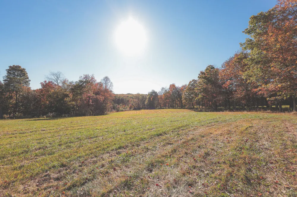 1047 Nelson Harrison Road Evensville, TN 37332