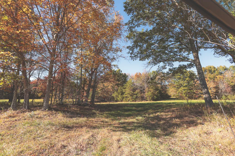 1047 Nelson Harrison Road Evensville, TN 37332