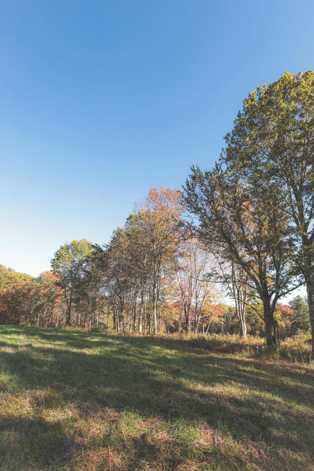 1047 Nelson Harrison Road Evensville, TN 37332