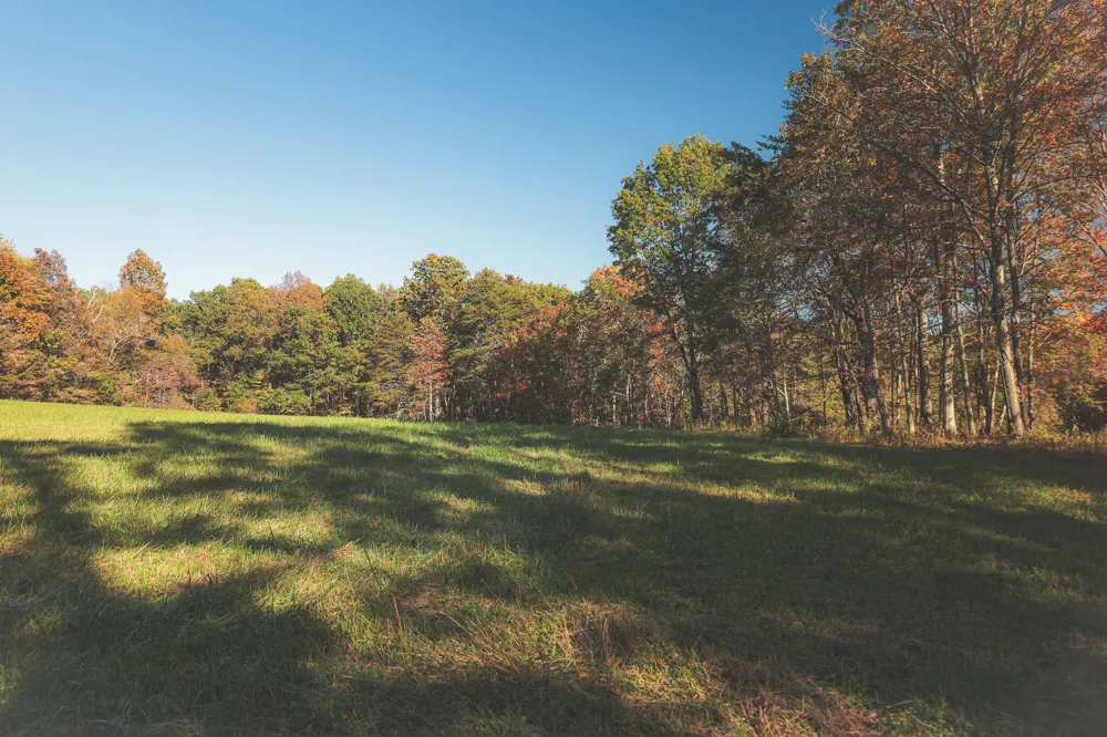 1047 Nelson Harrison Road Evensville, TN 37332