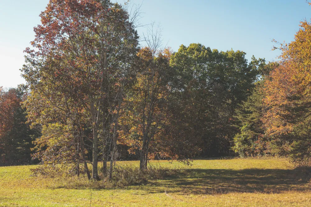 1047 Nelson Harrison Road Evensville, TN 37332