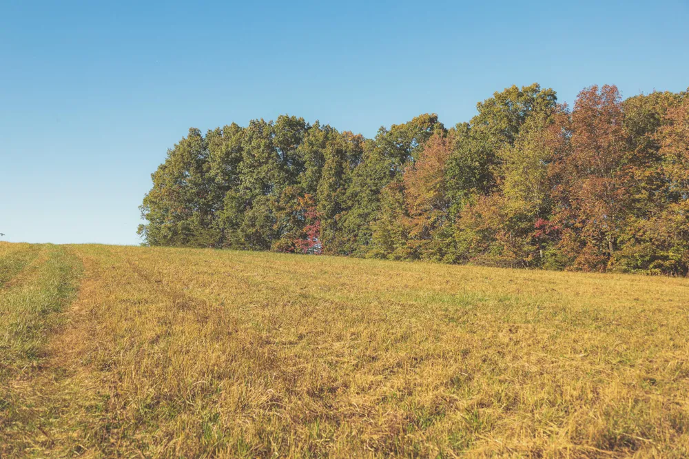 1047 Nelson Harrison Road Evensville, TN 37332
