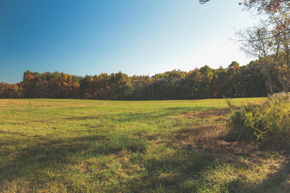 1047 Nelson Harrison Road Evensville, TN 37332