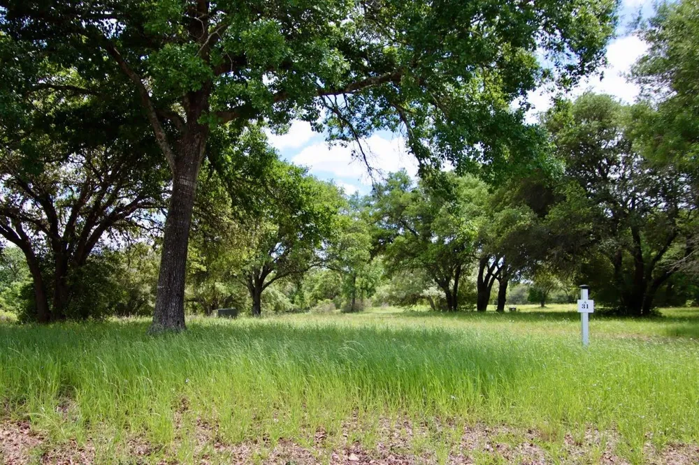 31 Mallard Lane Columbus, TX 78934