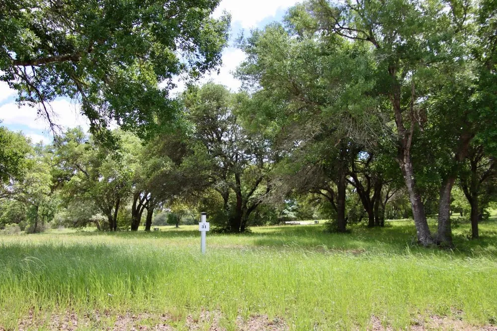 31 Mallard Lane Columbus, TX 78934