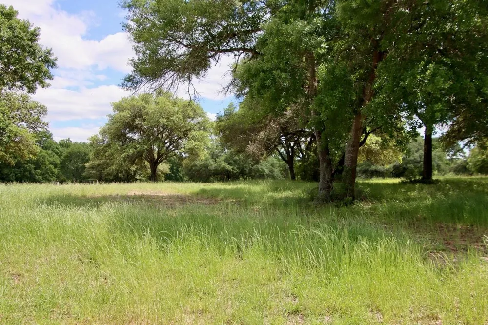 31 Mallard Lane Columbus, TX 78934