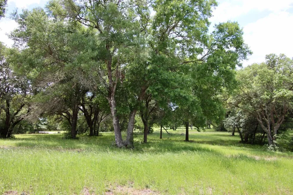31 Mallard Lane Columbus, TX 78934