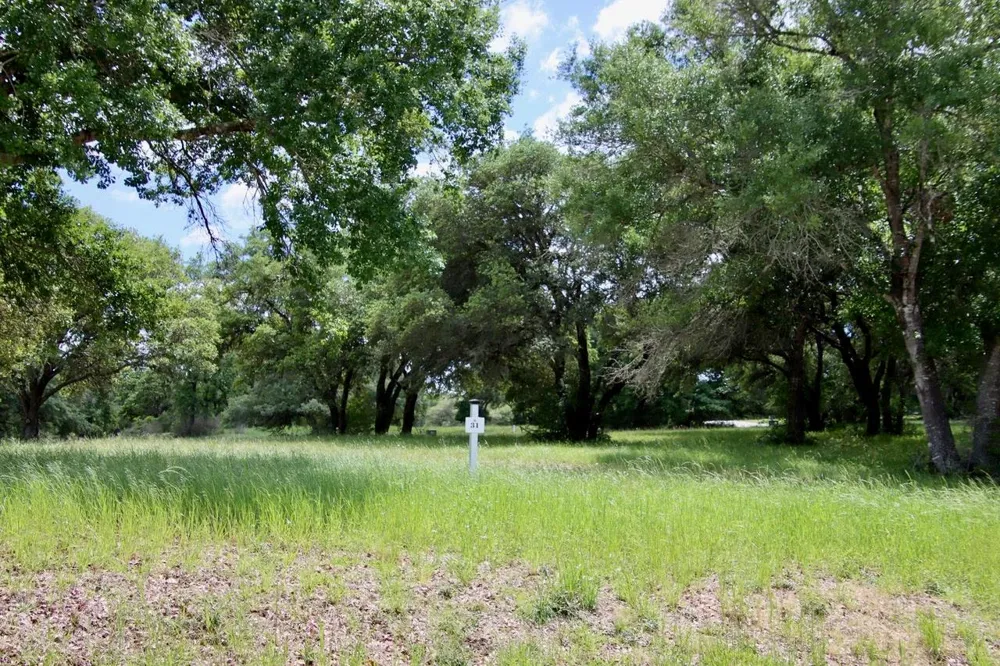 31 Mallard Lane Columbus, TX 78934